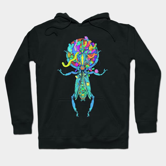 Spatial Beetle Multicolor Hoodie by ImmortalPink